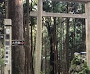 生まれた時の愛を思い出すヒーリングを流します バースデーヒーリング   愛しかなかったあなたに出会う イメージ5