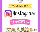 Instagramのフォロワーを500～増やします 【先着10名限定】１フォロワー＝３円の激安価格で承ります イメージ1