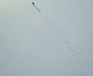 青森つがる地区限定でドローン撮影格安でいたします 自宅新築などの記念にドローン撮影いたします。 イメージ5