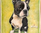 写真から愛犬の似顔絵を描きます 大切な家族の一枚を形に虹の橋を渡った子の思い出にいかが？ イメージ5