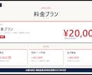 先着3名¥20,000！ 業種特化LP制作します 先着3名様¥20,000！半額モニター価格でLP制作 イメージ5