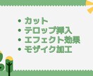 You Tubeの動画編集します 丁寧な動画編集と連絡をいたします。 イメージ2