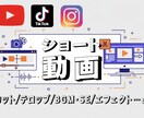 ショート動画を高品質編集・作成します 視聴率を意識したカット・テロップで伸びる動画に仕上げます！ イメージ1