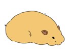 ハムスターのイラスト【3枚】作成します ハムスター特化！ハムちゃんの何気ない表情イラスト作成します イメージ3