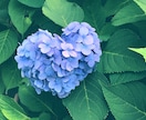 あなただけに密着して◎何でもお話お伺いします 悩みや愚痴、相談、なんでもない会話などなんでも受け付けます! イメージ1