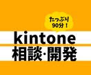 kintone開発・相談承ります 90分でもっと使いやすく！楽しくより良いシステムに！ イメージ1
