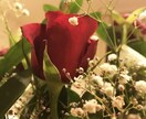 離婚を考えている人、、直ぐに話を聴きます 楽になって欲しい❣️離婚を考えている人！専用です。 イメージ3