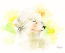 透明水彩でペットや動物の似顔絵を描きます 手描きならではの温もりを手元に。プレゼントにも イメージ7