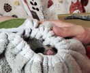 ああしろこうしろはいいません。一緒に悩みます うつ病と向き合うための背中をひと押し イメージ2