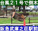 停電に立ち向かう"強靭"な住環境づくりを手伝います 52時間の停電中もエアコンや冷蔵庫を使い続けました。 イメージ5