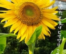 水曜日【２１～２３時】なんでもお話伺います なんか相談に乗ってくれる手ごろな友達のお母ちゃんです イメージ4