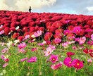 数秘学リーディングします 自分を知りたい人に、ぜひ体験してほしい。 イメージ1