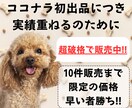 なかなか結果が出ない初心者を救うAI副業教えます ChatGPTを活用し時間が無くでもサクッとできるスキマ副業 イメージ2