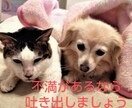 心軽やかに！スッキリして下さい。愚痴お聞きします 気持ちリフレッシュ！ストレス解消タイム。気軽にお話し下さい！ イメージ8