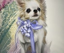 リアルなペットイラスト描きます 犬猫から爬虫類、猛禽類まで何でも! イメージ4