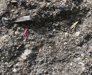 貴方の悩み紳士に受け止めます 千里の道も一歩から。貴方がこの地に生まれたことが第一の奇跡 イメージ4