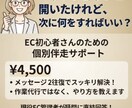 初心者専用 初心者向けECの迷いを解決します 現役EC管理者が疑問に直結回答!ショップ運営を前進させる伴走 イメージ1