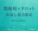 数秘術×タロットお試し総合鑑定します 気軽に試せるお試しプランです。 イメージ1