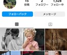 Instagram フォロワー3000人増やします ゆっくり増加対応可・高品質・多国籍フォロワー・減少保証あり イメージ2