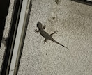 綺麗な写真を撮ります 車や風景などの写真等が多めです。 イメージ2