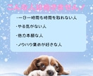 初心者向けショート動画×音楽収益の稼ぎ方教えます 登録者０でも収益化！AIとテンプレで爆速量産！ イメージ6
