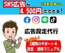 プロがSNS広告の新規運用代行いたします 有資格者が2週間サポートします。【設定・分析マニュアルつき】 イメージ1