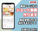 簡単おまかせ！楽天商品ページをそのまま動画化します 商品管理URLのリストをいただくだけであとはお任せ！ イメージ1