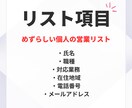 個人ITフリーランスの営業リストを提供します レア【1件55円】めずらしい個人のリストです営業効率アップに イメージ3