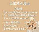 お祝い、記念日に♪大切なペットとの似顔絵描きます 少女漫画風の絵柄で、肉減量、髪増量、お好きなポーズや衣装OK イメージ4