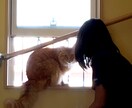 現役児童発達支援員がみなさまのお話を伺います 話したい、聞いて欲しいをお伝えください！！ イメージ1