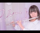 某SNSでバズった奏者がフルート個人レッスンします 音大大学院に進学し、某SNSでバズったフルート奏者が教えます イメージ1