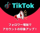 TikTokフォロワー増やします フォロワー数UPでTikTokの可能性が無限に広がる★ イメージ1
