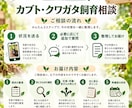 カブトムシ・クワガタの飼育の迷いを整理します 1ケース・1テーマ1,000円｜次の確認事項を整理 イメージ3