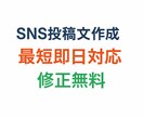 SNS投稿文作成し【最短即日】ます TikTokやInstagramの投稿文作ります イメージ1