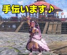 初心者～まったりとお手伝い致します ストーリー進行、素材集めまったりとお手伝い致します！ イメージ1