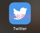 Twitterのアカウントを運営します 温かみのあるコミュニケーションが得意です。 イメージ1