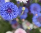 依存してしまって苦しい…そのお気持ち、お聞きします ちょっとだけ、「よりみち」してお話しませんか(^-^) イメージ1