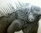 あなたの大切な人やペットを鉛筆画で描きます 【原品郵送OK】大切な人やペットをモノクロアート作品に イメージ6