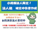 小規模法人様向け【法人税確定申告書】の作成承ります ＜リピート依頼で満枠の場合は個別にご相談・ご連絡ください＞ イメージ1
