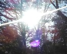 3つの悩みをYES or NOでお答えいたします YES or NOなので答えが完結です→すぐにモヤモヤ解消！ イメージ1