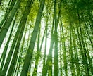 親身になって、否定せず、お話聞きます 日々の愚痴や悩み、鬱憤ばらし等なんでもどうぞ♡ イメージ4