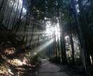 数秘術で人間関係の改善ヒントを読み解きます 周りの人との相性を知り、人間関係を良くしたいあなたへ イメージ10