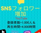 登録者1000人＆再生時間4000時間拡散します YouTube収益化の条件を達成！【30日減少補填】 イメージ1