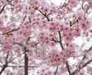 ちょこっとお話5分だけ♡聞き上手な看護師が聞きます 短時間で気軽に❣️雑談、ちょこっとお悩みも話してスッキリ✨ イメージ1