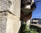 なんでもお話聞きます 仕事、恋愛、人生、モヤモヤした気持ちを吐き出しませんか？ イメージ1
