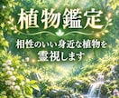 あなたに合う植物を霊視しお伝えします 花を送りたい、育てたい方向けの窓口になります イメージ1