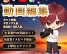 インタビュー・採用・プロモーション動画を制作します 見た人にしっかりと伝わるように丁寧に制作させて頂きます。 イメージ1