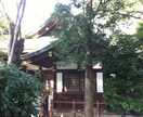 あなたに代わって神社に祈願しに行きます 気になる神社があるけど時間や距離的な問題で行けない方向け イメージ2
