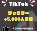 TikTok フォロワー+5,000人増やします ティックトック+5,000人~ 保証あり！ イメージ1