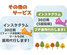 インスタグラムの不要なフォロワーを手作業で外します ✦増えてしまった不要なアカウントも手作業でフォロー解除します イメージ6